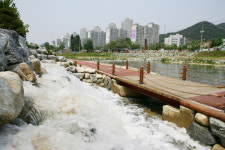 27일, 대전천 새 물길 열린다