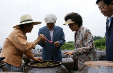 盧 전 대통령, 광양 매실마을 방문