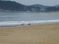 “5개월동안 백수‥정신병자처럼 살았다”