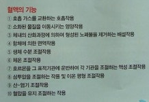 세흥허브참건강쎈터 | ‘야훼’ “씨맺는 식물이 너희 생명 되리라”