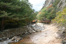 설악산의 가을은 온통 단풍으로 물들어 가고