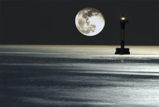 부산의 재발견 “아가야 나오너라 달맞이 가자~”