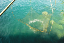 동백꽃’ 눈물처럼 후드득 떨어지는 지심도 다시보기