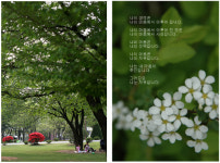가정의 달, 어버이날 맞이하여 붓다필드 ‘효’잔치 진행