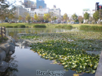 광주시 생태마을에서 자연을 만끽하세요