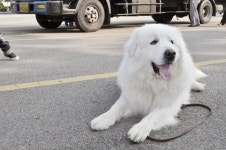 사망설 휩싸인 1박2일 상근이 휴식중
