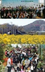 제13회 함평나비대축제, 29일부터 5월 10일까지