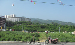 구례군, 지리산 온천지구 국화단지 조성 한창