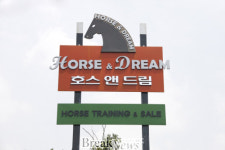말(馬)들이 꿈을 이루는 전원명품도시 화순