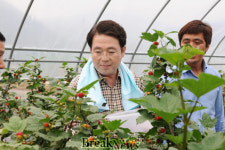 “물오른 장성 산딸기 맛보세요”