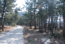 해안방재림 국민 휴식처로 제공