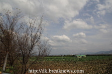 농약공장 폭발 독극물 공포에 벌벌