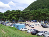 영덕군 숨은 관광명소 오천 솔밭