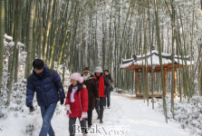 담양군 죽녹원, 설국(雪國)으로의 환상여행!