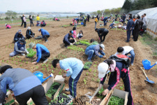 ‘귀농 일번지’ 장성, 주말 텃밭농장 분양