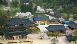 김제 금산사 용단 김제시민 입장료 무료