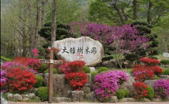 전북 완주 대아수목원, 붉은 꽃들의 향연 시작