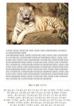 호랑이 슬픈 사연, ‘으르렁’ 울음소리 해석해보니