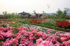 2012 곡성세계장미축제 기념