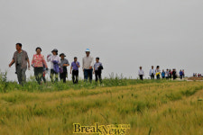 영광 염산 설도항 토요장터와 둘레길 걷기 대성황