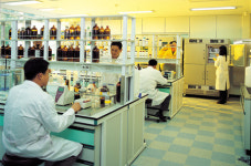 헤어리베치‘청풍보라’농가 채종 연시회 개최