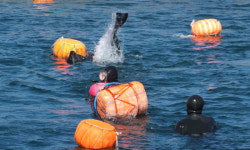 제주, 국내외 출향해녀 바다 건너 고향으로~