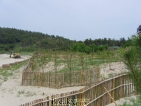 신안 자은면 해안방재림, 전국 최우수