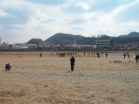 청송군, 추석맞이 국토대청소 실시
