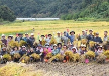 돌나라측 대항변 “마녀 사냥식 여론재판!”