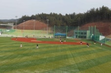 영덕군, 야구 전지 훈련팀으로 북적