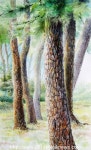 태백 석탄박물관, “물과 나눈 이야기展” 개최