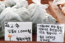 제주,조수1리 청년4인방의 마을 살리기가 뜬다!