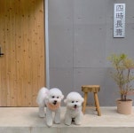 친구, 연인, 반려견도 함께 할 수 있다! 낭만 가득 합천 숙소 셋 #소도시여행