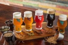 남해 멸치 맛을 아직도 몰라? 식사도 안주도 되는 현지 식재료 가득 남해 맛집 3 #소도시여행