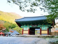 어지러운 세상, 바쁜 도심 탈출하면 어디로 가? 연말 힐링에 딱인 해남 명소 셋 #소도시여행