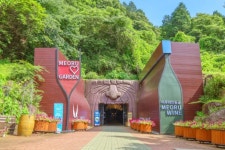 밤을 밝히는 반딧불이와 쏟아지는 별들을 함께 볼 수 있는 무주 이색 명소 셋  #소도시여행