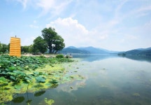 두물머리 연핫도그 먹고 양에게 먹이도 주고! 양평 가볼 만한 명소 3 #소도시여행