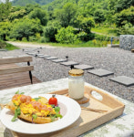건축미 난리 난 원형 펜션과 작약꽃 활짝 핀 반려견 동반 펜션! 멋진 여름 휴가가 있는 홍천 숙소 3 #소도시여행