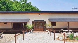 숲 그늘에 폭 안겨 나무 향기에 취할 수 있는 영동 감성 숙소 3 #소도시여행