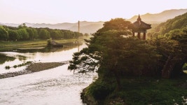 숲 그늘에 폭 안겨 나무 향기에 취할 수 있는 영동 감성 숙소 3 #소도시여행