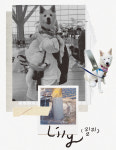 제2의 견생을 찾아 떠난 강아지들의 해외 입양기