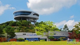 ‘우영우’로 화제된 팽나무서 소원 빌고, 돌미끄럼틀 도전해볼까?! 나주 이색 명소 3 #소도시여행