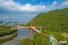 인생샷 뚝딱! 솜사탕 같은 댑싸리와 아찔한 구름다리가 있는 의령 가을 명소 3 #소도시여행
