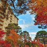 화가의 집에서 보내는 근사한 하룻밤은 어떨까? 경기도 광주 감성숙소 3 #소도시여행