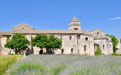 [엘르보이스] 40대. 오로지 빛을 따라서 한 여행