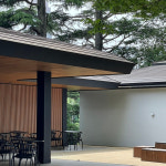 이 도시를 즐기는 색다른 방법, 도쿄 공원 산책 #도쿄핫플