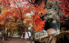 울긋불긋 단풍과 함께, 온천에 호수 뷰까지 있는 가을 캠핑 명소 3 #가볼만한곳