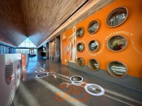 동물 보호소로 마실 갈 사람?