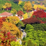 가을 끝물 마지막 나들이,  단풍-꽃-빛 축제 3 #가볼만한곳