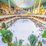 겨울엔 역시, 낭만 가득 이색 아이스링크 3 #가볼만한곳